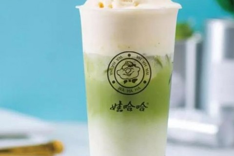 哇哈哈奶茶好喝吗?哇哈哈奶茶店加盟赚钱吗?